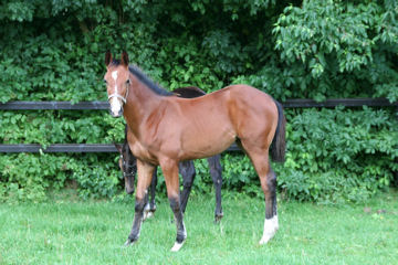 Klik voor een vergroting