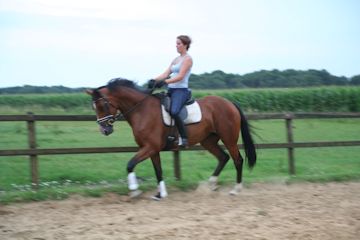 Klik voor een vergroting