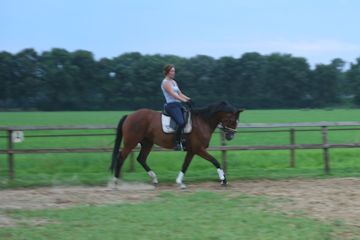 Klik voor een vergroting