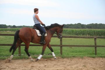 Klik voor een vergroting