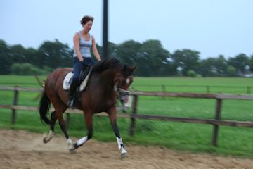 Klik voor een vergroting