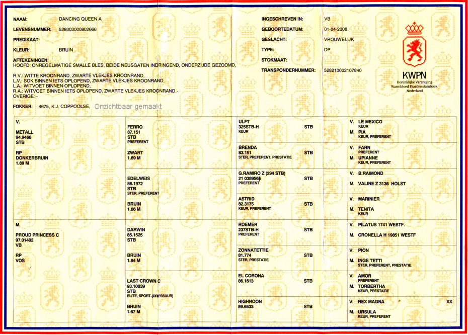 Stamboek Dancing Queen