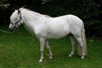 Klik voor een vergroting